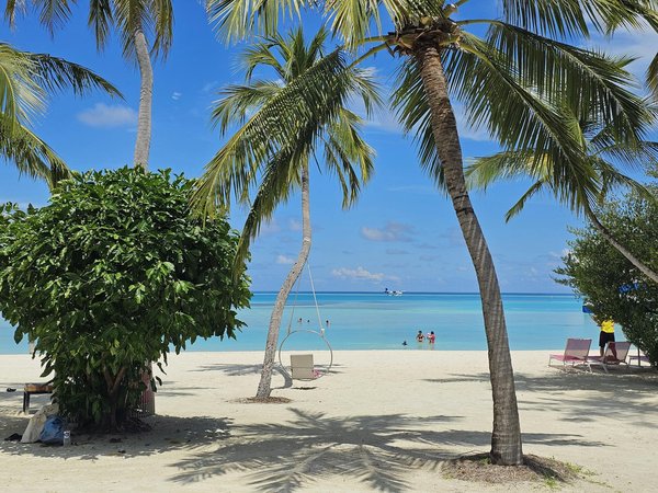 Comment organiser une expédition de plongée dans les grottes sous-marines des Bahamas : équipements et précautions ?